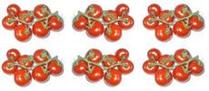 Tomaten-6x7B.jpg